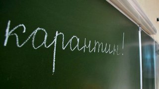 Карантин в школах: необходим или нет?